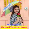 About Jhutha H Tera Pyar Sajana Song